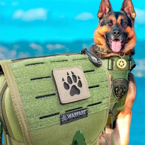 Patch K9